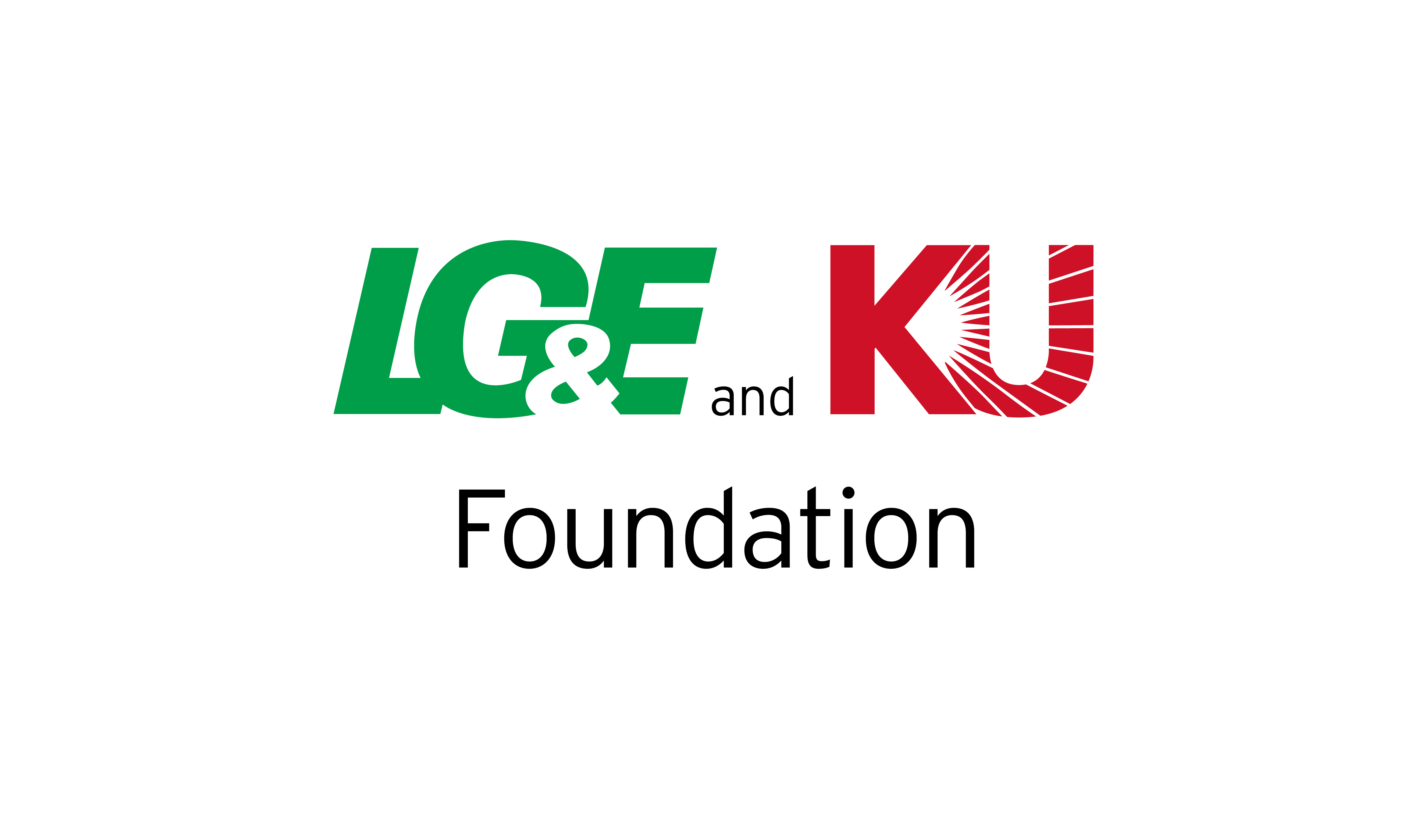 Fundación LG y E-KU